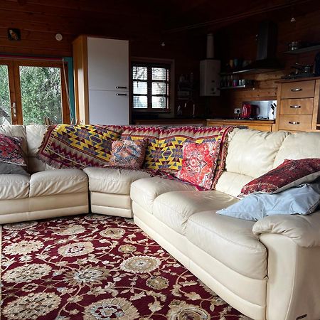 Tudor Lodge With Pool & Bbq Cabin Liskeard Extérieur photo