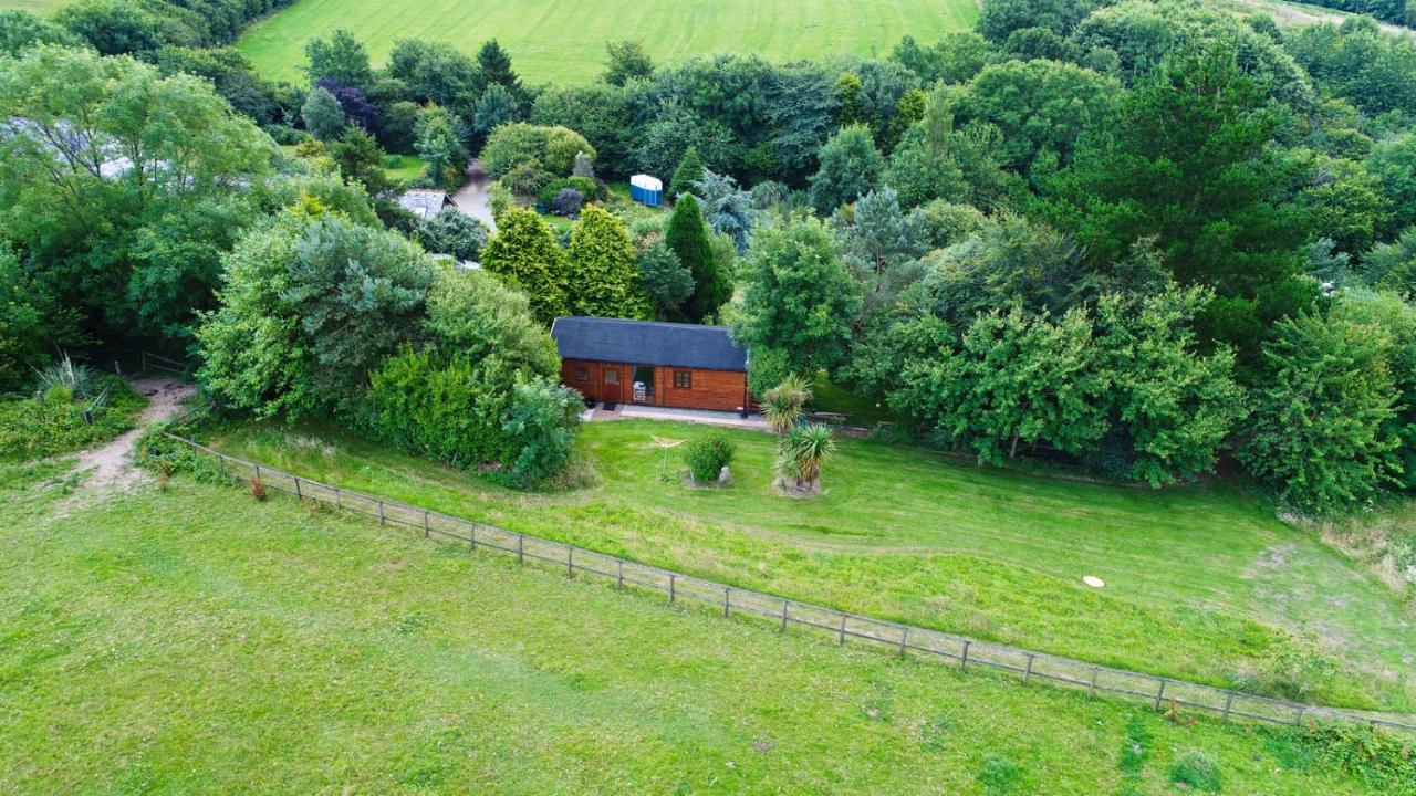Tudor Lodge With Pool & Bbq Cabin Liskeard Extérieur photo