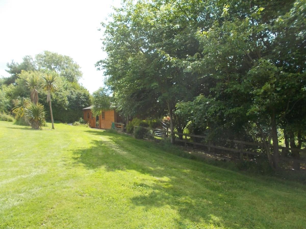 Tudor Lodge With Pool & Bbq Cabin Liskeard Extérieur photo