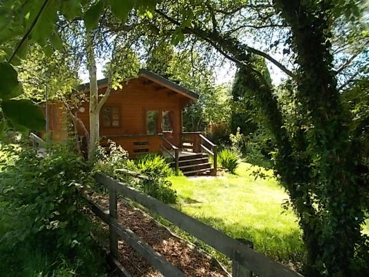 Tudor Lodge With Pool & Bbq Cabin Liskeard Extérieur photo