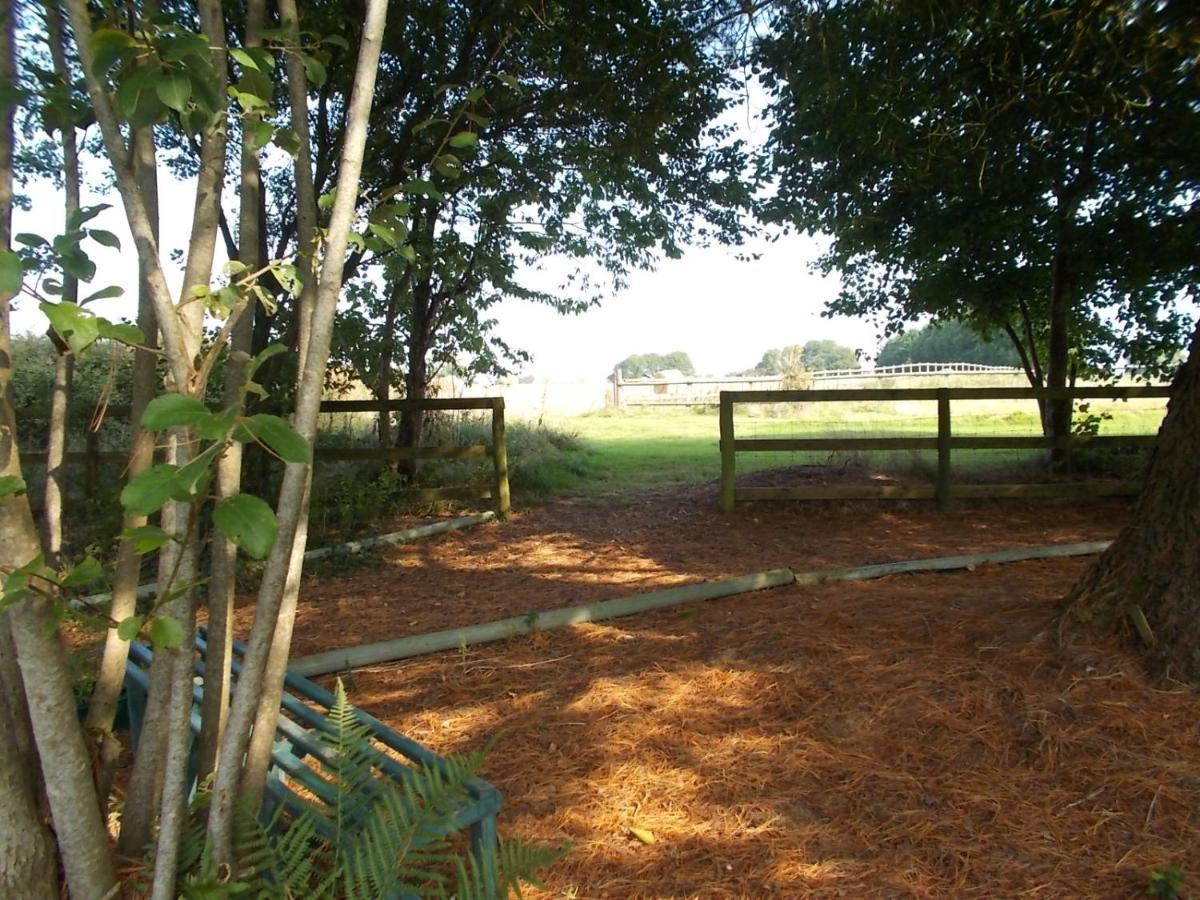 Tudor Lodge With Pool & Bbq Cabin Liskeard Extérieur photo