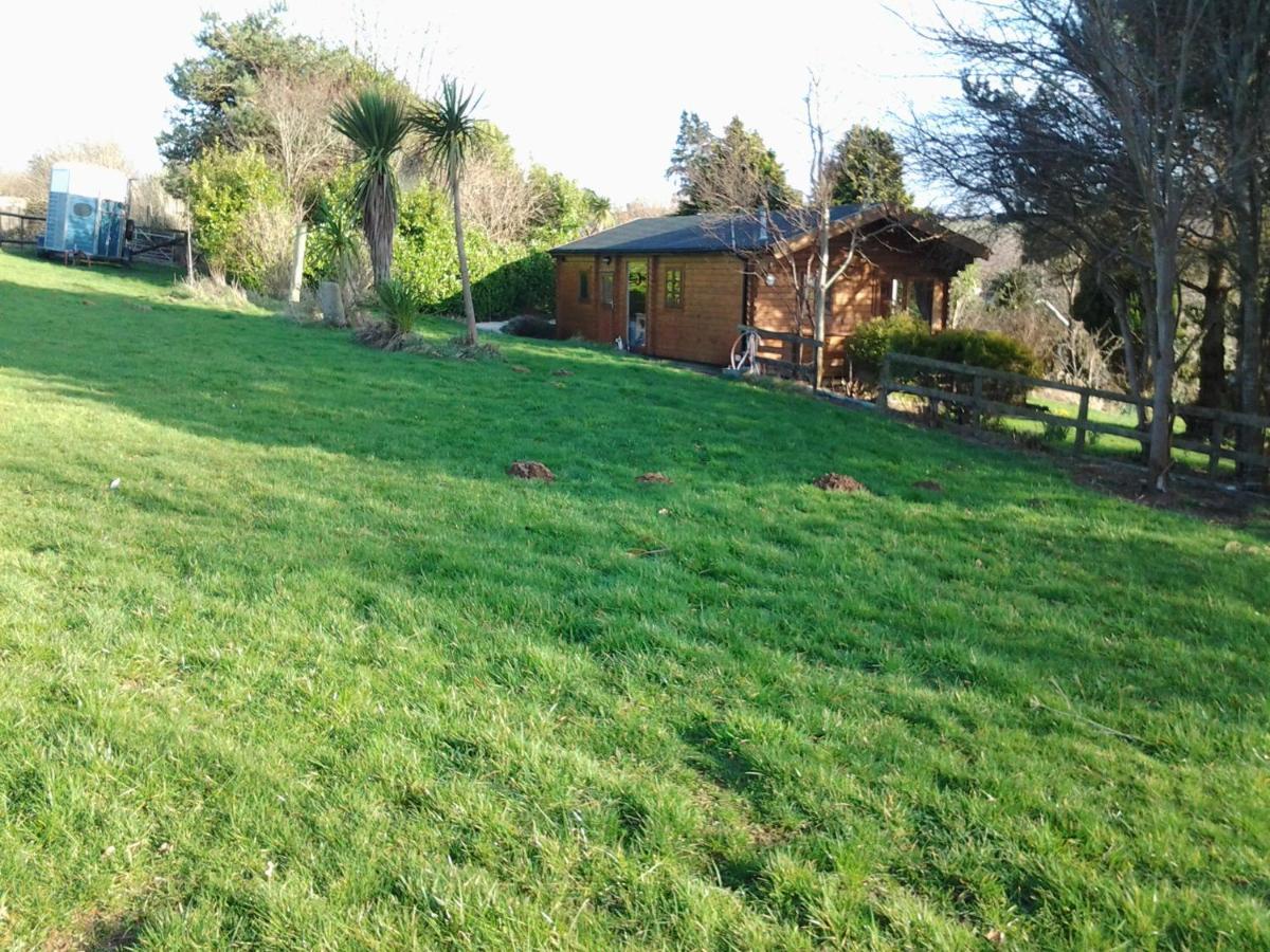 Tudor Lodge With Pool & Bbq Cabin Liskeard Extérieur photo